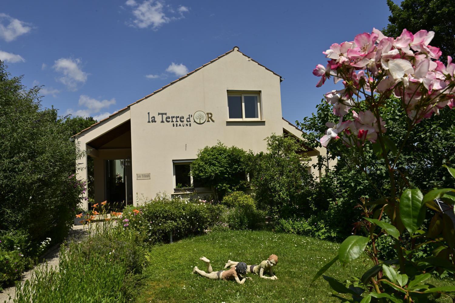 La Terre D'Or Vila Beaune  Exterior foto